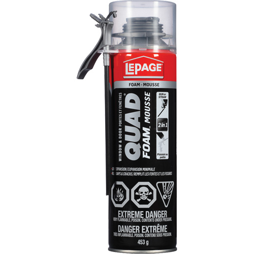 Mousse d'installation de portes & fen&ecirc;tres Quad Mousse, Canette a&eacute;rosol, Havane NRZ Safety Inc.