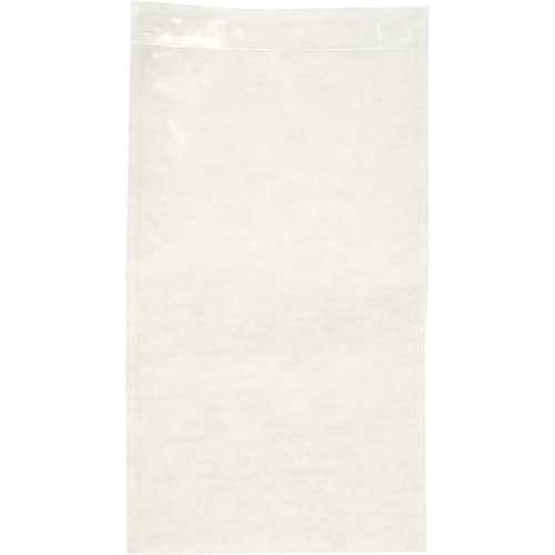 Non-Printed Packing List Envelope, 10" L x 5-1/2" W, Endloading Style NRZ Safety Inc.