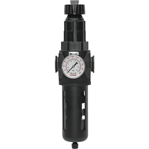 Modulair 400 Filter/Regulator with Manual Drain, 3/4" NPT, 200 psi, 9.1 fl. oz. Capacity NRZ Safety Inc.