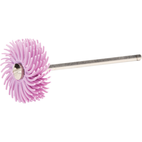 Scotch-Brite Radial Bristle Discs, Pumice Grit, 3/4" Dia. NRZ Safety Inc.