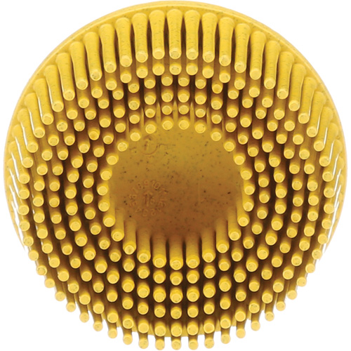 Disques &agrave; soies Roloc Scotch-Brite, Grain 80, 2" dia. NRZ Safety Inc.