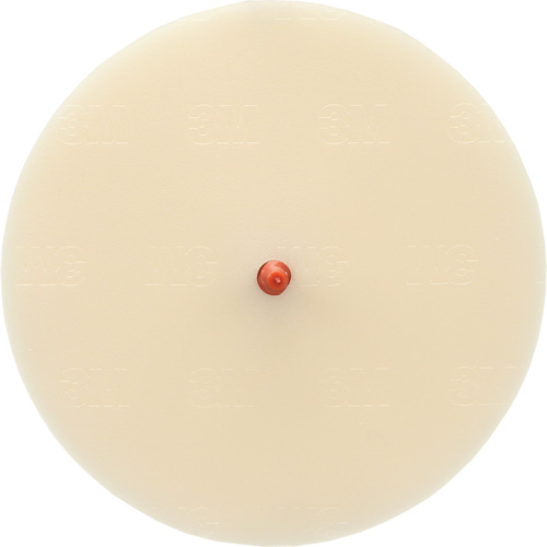 Disque Scotch-Brite 7502 pour retrait de colle et de bandes de moulage, 6" dia. NRZ Safety Inc.