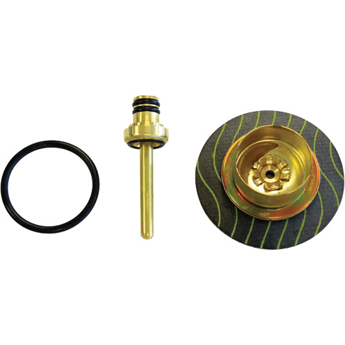 Filter/Regulator - Relieving Diaphragm & Valve Assembly NRZ Safety Inc.