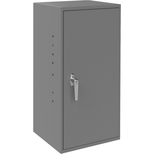 Utility Cabinet, Steel, 2 Shelves, 30" H x 13-3/4" W x 12-3/4" D, Grey NRZ Safety Inc.