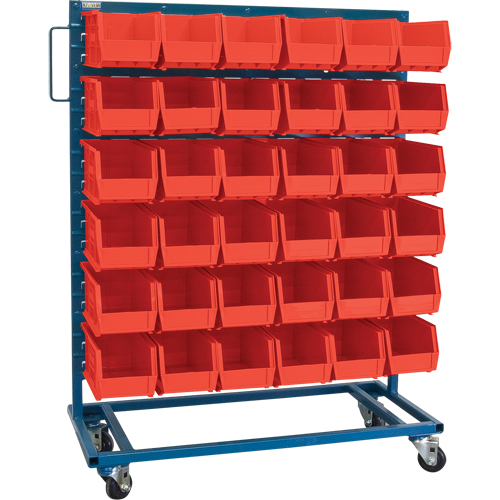 Single-Sided Mobile Bin Rack, Single-sided, 36 bins, 36" W x 16" D x 46-1/2" H NRZ Safety Inc.