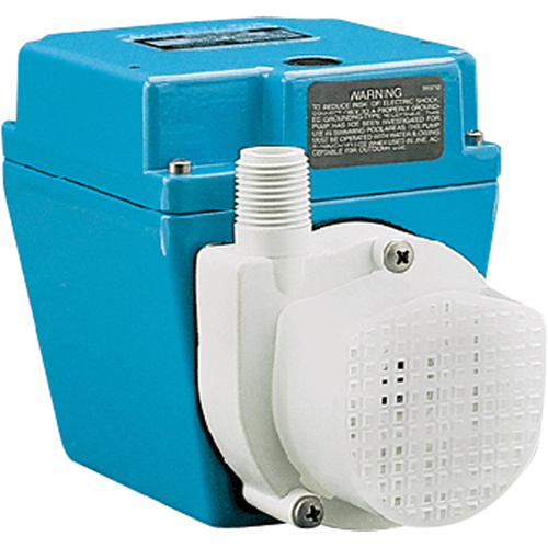 Dual Purpose Pumps, 1/15 HP, 500 GPH, 115 V, 3.2 A NRZ Safety Inc.