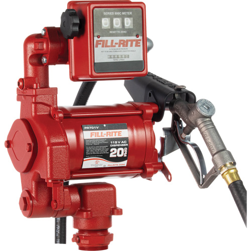 Pompes &agrave; palettes, rotatives & utilitaires, c.a., 115 V, 20 gal./min NRZ Safety Inc.