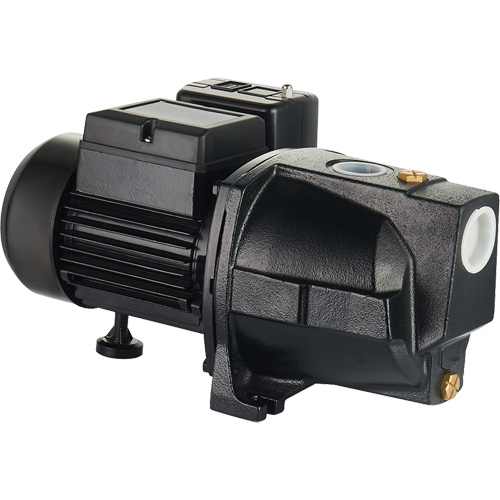 Dual Voltage Cast Iron Shallow Well Jet Pump, 115 V/230 V, 1100 GPH, 1 HP NRZ Safety Inc.