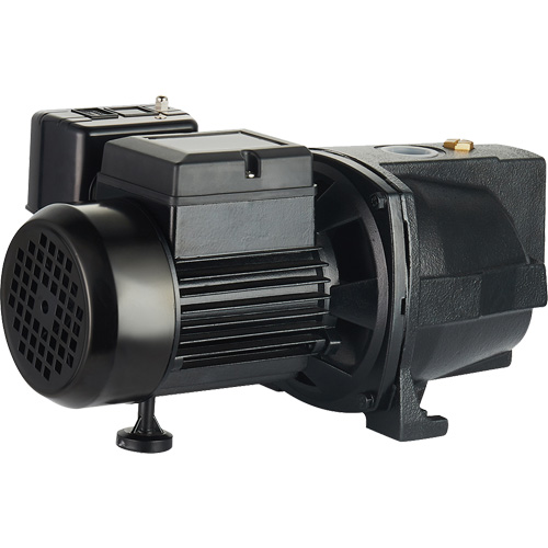 Dual Voltage Cast Iron Shallow Well Jet Pump, 115 V/230 V, 1100 GPH, 1 HP NRZ Safety Inc.