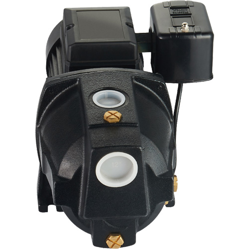 Dual Voltage Cast Iron Shallow Well Jet Pump, 115 V/230 V, 1100 GPH, 1 HP NRZ Safety Inc.