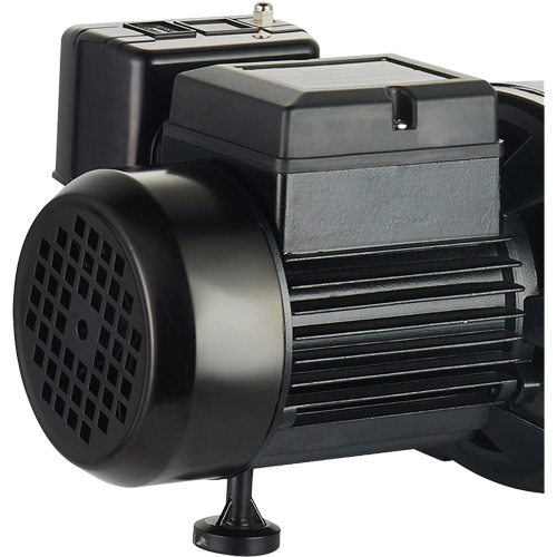 Dual Voltage Cast Iron Shallow Well Jet Pump, 115 V/230 V, 1100 GPH, 1 HP NRZ Safety Inc.