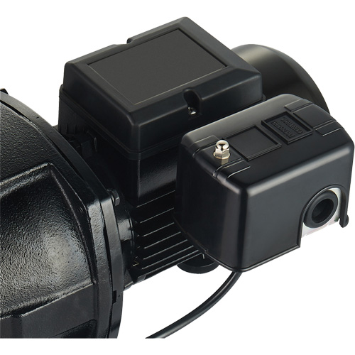 Dual Voltage Cast Iron Shallow Well Jet Pump, 115 V/230 V, 1100 GPH, 1 HP NRZ Safety Inc.