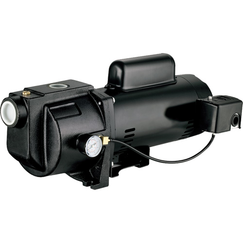 Dual Voltage Cast Iron Shallow Well Jet Pump, 115 V/230 V, 1260 GPH, 1 HP NRZ Safety Inc.