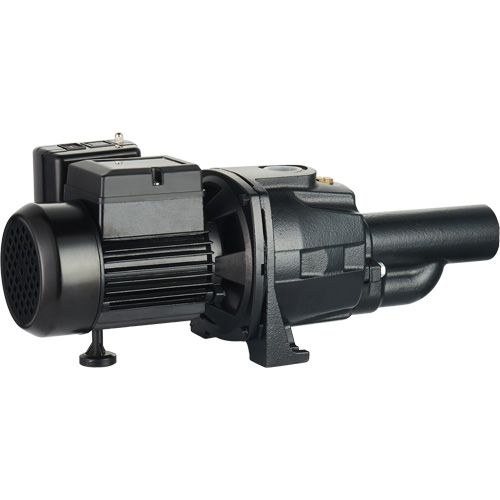 Dual Voltage Cast Iron Convertible Jet Pump, 115 V/230 V, 1400 GPH, 3/4 HP NRZ Safety Inc.