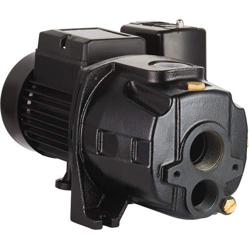 Dual Voltage Cast Iron Convertible Jet Pump, 115 V/230 V, 1400 GPH, 3/4 HP NRZ Safety Inc.