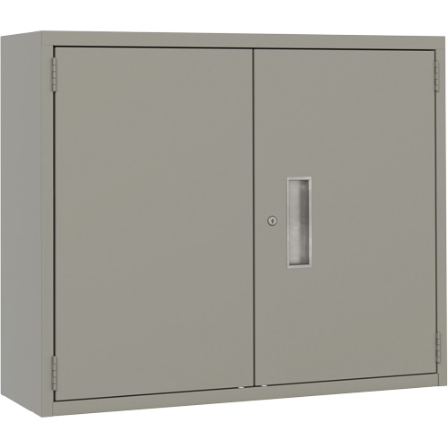 Wall Mounted Cabinet, Steel, 2 Shelves, 30" H x 36" W x 12" D, Grey NRZ Safety Inc.