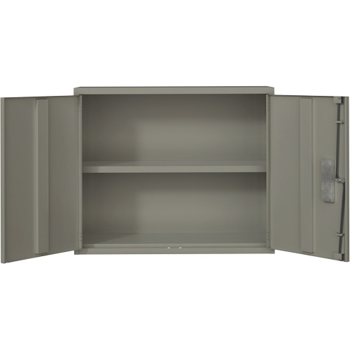 Wall Mounted Cabinet, Steel, 2 Shelves, 30" H x 36" W x 12" D, Grey NRZ Safety Inc.