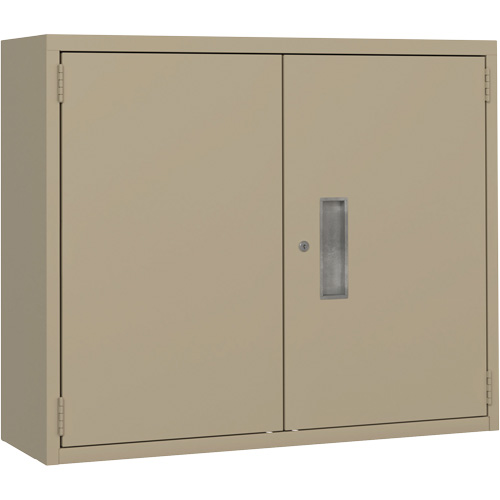 Armoire murale, Acier, 2 Tablettes, 30" h x 36" la x 12" P, Beige NRZ Safety Inc.