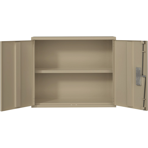 Armoire murale, Acier, 2 Tablettes, 30" h x 36" la x 12" P, Beige NRZ Safety Inc.