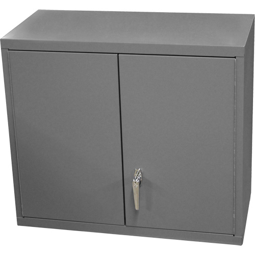 Armoire murale, 27" h x 13-11/16" la x 35-7/8" p, 2 tablettes, Acier, Gris NRZ Safety Inc.