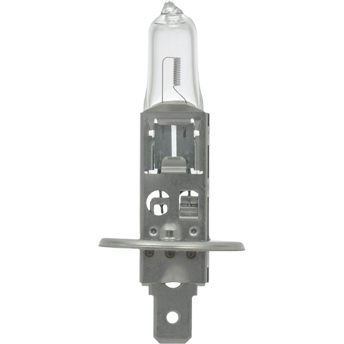 64155 Ampoule automobile de base, Halog&egrave;ne, 78 W, Blanc cass&eacute; NRZ Safety Inc.