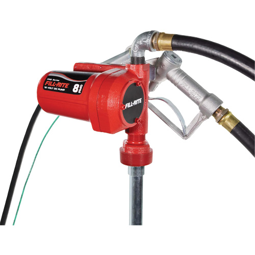 12V DC Fuel Transfer Pump with Nozzle NRZ Safety Inc.