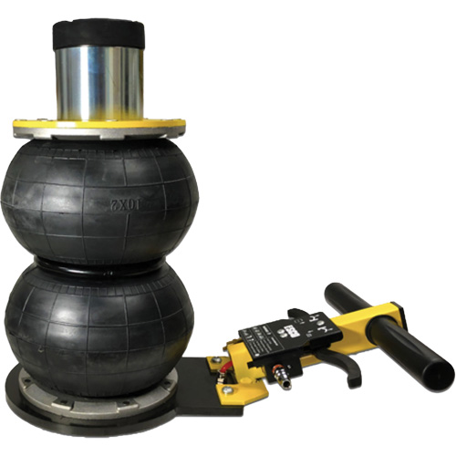 V&eacute;rin &agrave; coussin gonflable biphas&eacute; s&eacute;rie Pro, 2 tonne(s), 17" Hauteur &eacute;lev&eacute;e NRZ Safety Inc.