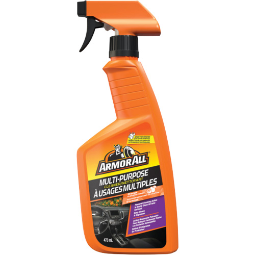 Multi-Purpose Auto Cleaner, 16 oz./473 ml, Trigger Bottle NRZ Safety Inc.