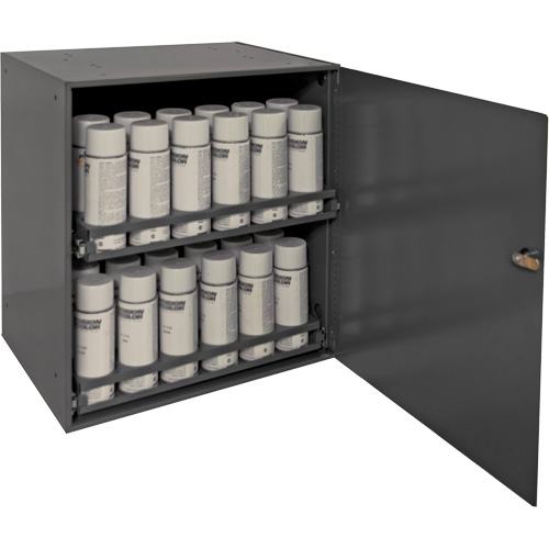 Armoire de rangement pour contenants a&eacute;rosol, Acier, 21-7/8" h x 15-15/16" la x 20-5/16" P, Gris NRZ Safety Inc.