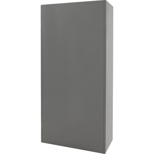 Armoire de rangement combin&eacute;e, 36" la x 18" p x 72" h, Gris NRZ Safety Inc.