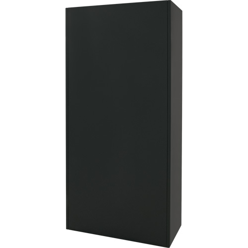 Combination Storage Cabinet, 36" W x 18" D x 72" H, Black NRZ Safety Inc.
