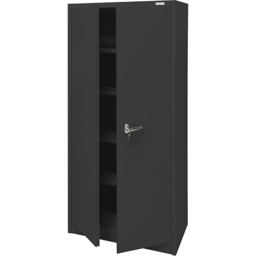 Storage Cabinet, Steel, 4 Shelves, 66" H x 30" W x 15" D, Black NRZ Safety Inc.