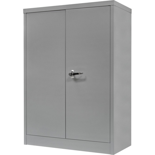Counter-High Storage Cabinet, Steel, 2 Shelves, 42" H x 48" W x 24" D, Grey NRZ Safety Inc.