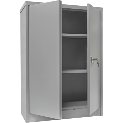 Counter-High Storage Cabinet, Steel, 2 Shelves, 42" H x 48" W x 24" D, Grey NRZ Safety Inc.