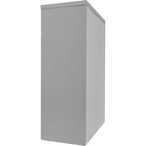 Counter-High Storage Cabinet, Steel, 2 Shelves, 42" H x 48" W x 24" D, Grey NRZ Safety Inc.