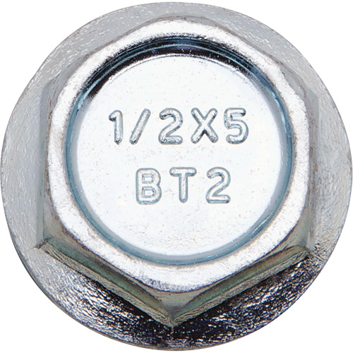 Wedge Bolts, Carbon Steel, 1/2" x 5" NRZ Safety Inc.