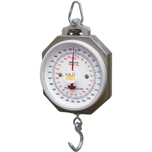 Balance suspendue industrielle NRZ Safety Inc.