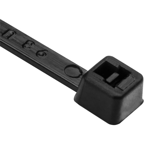 Attaches de c&acirc;ble PA66, Longueur 8", R&eacute;sistance &agrave; la traction 50 lb, Noir NRZ Safety Inc.