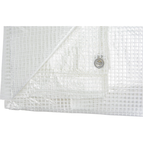 B&acirc;ches transparentes, 12' x 10' x 8 mils NRZ Safety Inc.