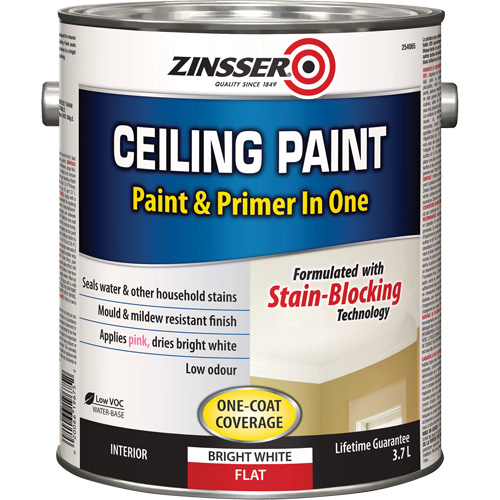 Ceiling Paint & Primer in One, White, Very Flat, 3.78 L, Gallon NRZ Safety Inc.