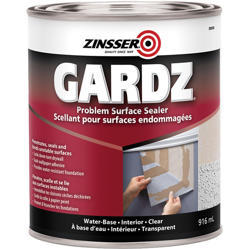 Scellant de surface &agrave; probl&egrave;mes Gardz, 3,61 L, Canette, Transparent NRZ Safety Inc.
