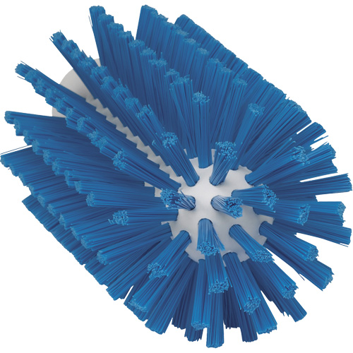 Brosse pour l'hygi&egrave;ne des aliments, Soies Moyen, Longueur de 6", Bleu NRZ Safety Inc.