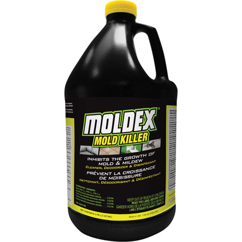 Moldex&reg; Mold Killer, 3.78 L, Jug NRZ Safety Inc.