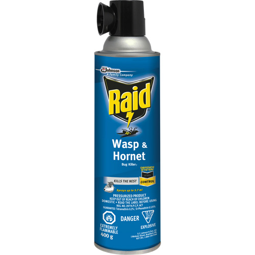 Insecticide contre les gu&ecirc;pes et les frelons Raid, 400 g, &agrave; base de solvant NRZ Safety Inc.