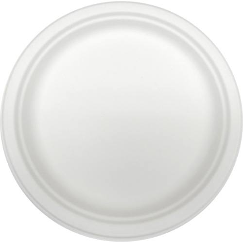 Molded Fiber Disposable Plates NRZ Safety Inc.