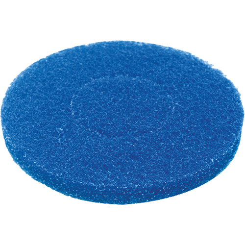 Floor Pad, Cleaning, Blue NRZ Safety Inc.