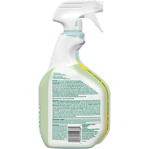CloroxPro Clorox EcoClean Disinfecting Cleaner, 946 ml, Trigger Bottle NRZ Safety Inc.