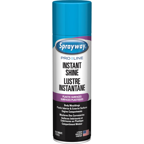 Brillant instantan&eacute; Pro Line pour surfaces en plastique, 11 oz, Canette a&eacute;rosol NRZ Safety Inc.