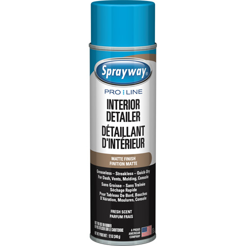 Nettoyant esth&eacute;tique automobile Pro Line avec fini mat & parfum frais NRZ Safety Inc.