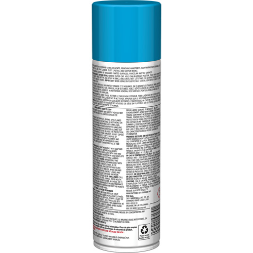 Nettoyant tout usage Pro Line Crazy Clean, 19 oz., Canette a&eacute;rosol NRZ Safety Inc.